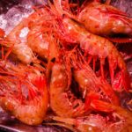 Fresh Tsukiji prawns (Japan Adventures: Tokyo – Tsukiji Fish Market)