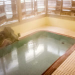 Yudanaka Seifuso ryokan-7 (JAPAN Adventures: Snow Monkeys, Onsens, Ryokan & Kaiseki Eats)