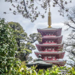 Senso-ji Pagoda in Asukaa, Tokyo, Japan (Japan Adventures: Tokyo – Sensoji, Shibuya Crossing and More…)