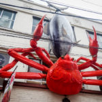 Tsukiji Market Seafood-1 (Japan Adventures: Tokyo – Tsukiji Fish Market)