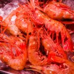 Prawns the size of small lobsters (Japan Adventures: Tokyo – Tsukiji Fish Market)