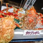 Japanese Spider Crab (they can reach 3 meters in breadth!) (Japan Adventures: Tokyo – Tsukiji Fish Market)