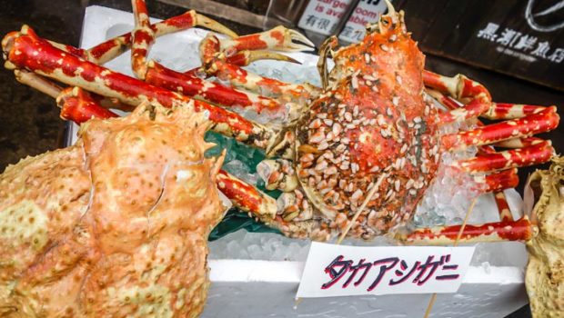 Japanese Spider Crab (they can reach 3 meters in breadth!)