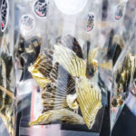 How ’bout a snack of dried fish fins? (Japan Adventures: Tokyo – Tsukiji Fish Market)