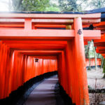 The vivid gates go on for miles… (Japan Adventures: Kyoto (the Fab and the Meh))