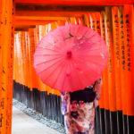 I even got lucky and glimpsed a likewise solo geisha! (Japan Adventures: Kyoto (the Fab and the Meh))