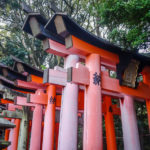 Fushimi Inari Shrine, Kyoto, Japan (Japan Adventures: Kyoto (the Fab and the Meh))