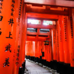 Miles of vermilion torii (Japan Adventures: Kyoto (the Fab and the Meh))