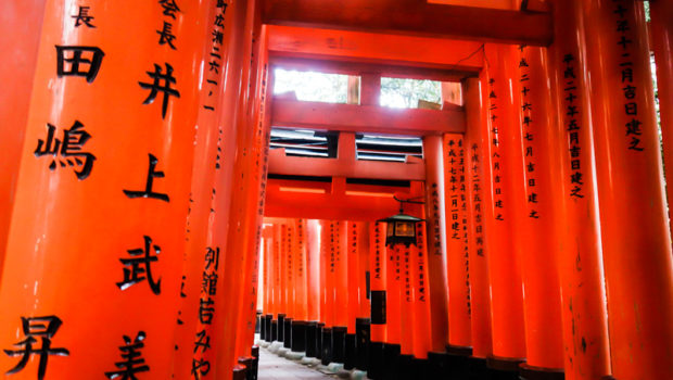 Miles of vermilion torii