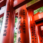 Each of the torii at Fushimi Inari Taisha has been donated by a Japanese business. (Japan Adventures: Kyoto (the Fab and the Meh))