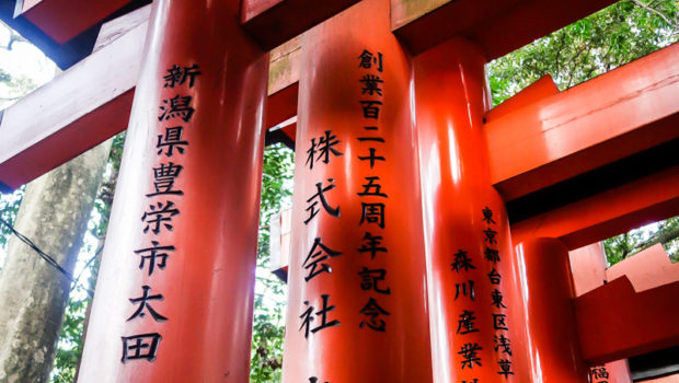 Each of the torii at Fushimi Inari Taisha has been donated by a Japanese business.