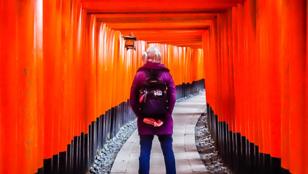 This is what you get when you drag yourself out of bed before dawn to visit a legendary Japanese icon - solitary tranquility.