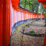 …snaking their way up the mountain. (Japan Adventures: Kyoto (the Fab and the Meh))