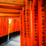 Fushimi Inari Shrine, Kyoto, Japan (Japan Adventures: Kyoto (the Fab and the Meh))