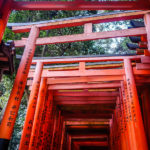 The shrine was founded in 711 making it one of Kyoto’s oldest and most historic landmarks. (Japan Adventures: Kyoto (the Fab and the Meh))