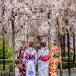 Still more fake “geishas”, but nonetheless a nice photo-op. (Japan Adventures: Kyoto (the Fab and the Meh))