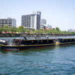 Osaka Mint Sakura Blossoms-2 (Japan Adventures: Osaka Blossoms and Eats)