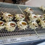 Giant snails… (Japan Adventures: Osaka Blossoms and Eats)