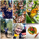Mexico Memories (Continuously Wandering the Globe…)