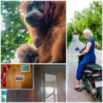 Memories of Sumatra (Continuously Wandering the Globe…)