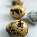 Dyanne Kruger Food Photographer – Quail Eggs (Um, Is the TravelnLass on Radio Silence?)