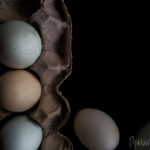 Dyanne Kruger Food Photographer Samples of my new creative passion- Food Photography 6 (Um, Is the TravelnLass on Radio Silence?)