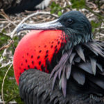 Dyanne Kruger Food Photographer Travel Portfolio 5 (PORTFOLIO – Dyanne Kruger)