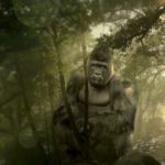 Gorilla in the Mist (Where’s the TravelnLass Off To Next? The Galapagos Islands and… AFRICA!)