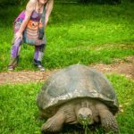 201501Galapagos Islands Tortoise 201505-2015-01-ECU-Galapagos-24 (Cuenca Never Ceases to Enchant: Killa Raymi)