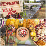 Welcome to Killa Raymi collage (Cuenca Never Ceases to Enchant: Killa Raymi)