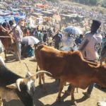 Lilabella5 (The TravelnLass Emerges! (And a Photo Recap of East Africa))