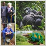 Uganda-Collage (The TravelnLass Emerges! (And a Photo Recap of East Africa))