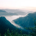 Uganda1 (The TravelnLass Emerges! (And a Photo Recap of East Africa))