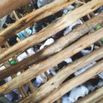 The Accident1 (The TravelnLass Emerges! (And a Photo Recap of East Africa))