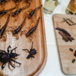 2022-10-Bugs that I DIDN’T eat (MEXICO Trifecta! (Chapter One: Mexico City))