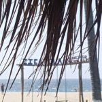 Zigatela Beach Swings (Mexico Trifecta! (Chapter Three: Puerto Escondido))