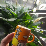 Souvenirs of Quito-1 (Northern Ecuador Adventures)