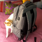 Souvenirs of Quito-2 (Northern Ecuador Adventures)