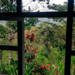 View from Yellow House Window (Northern Ecuador Adventures)