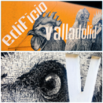 Chicken Collage (Quito Street Art)