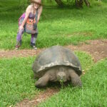 16873621694_ec56211525_c (Cuenca 10 Year Anniversary!)