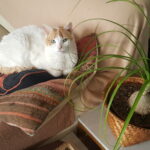 20230301_095745 (Cuenca 10 Year Anniversary!)