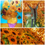 Van Gogh VIVO Sunflower Collage (Van Gogh VIVO! An Immersive Experience in Cuenca)