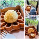 Otto Lace Waffle collage (Europe ’24 Trifecta: Belgium)